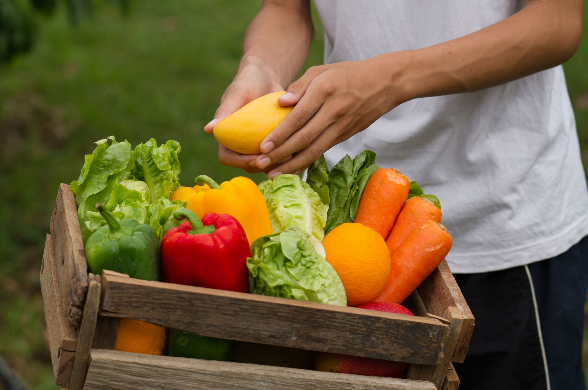 Tamarindo Farmers Market