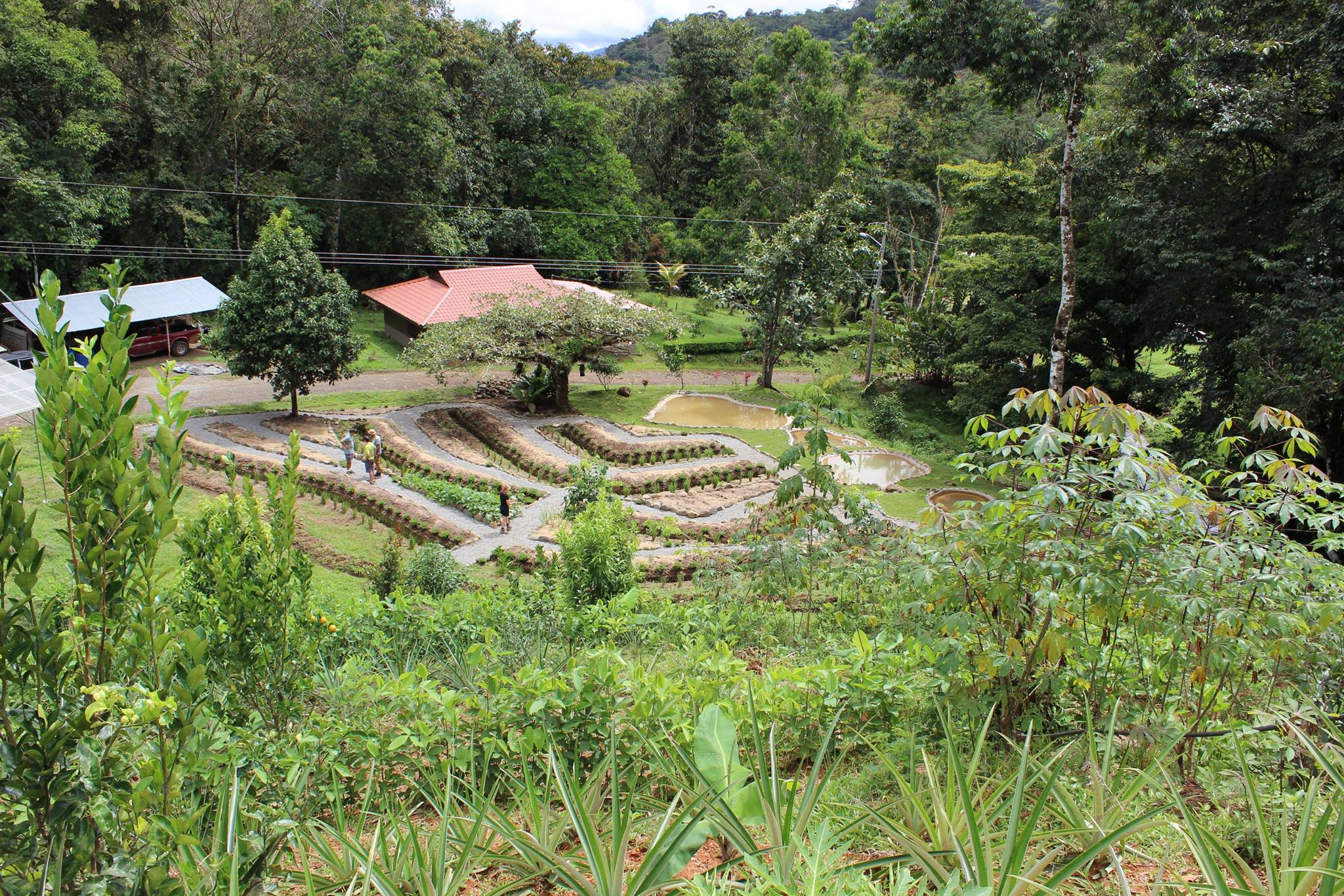 Living Permaculture with Brendon McKeon