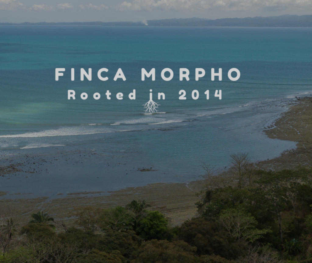 Finca Morpho