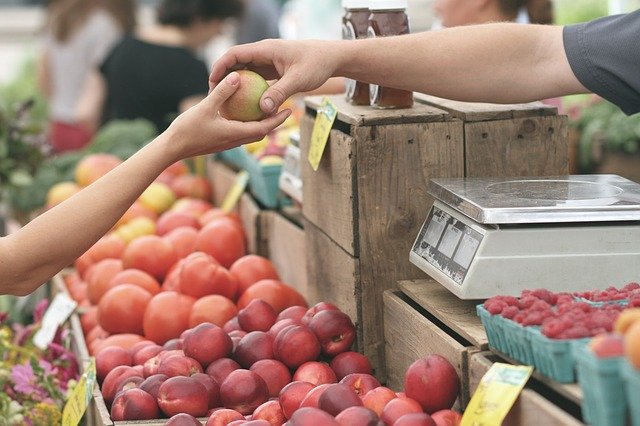 Farmers Market of  Trueque