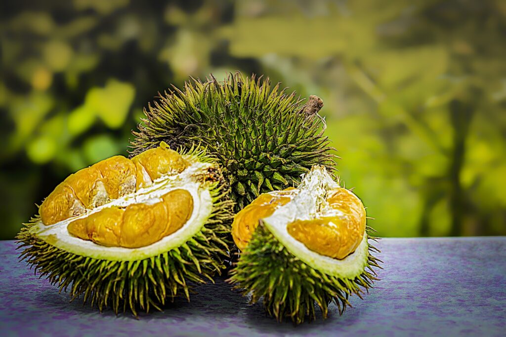 durian-3597242_1920