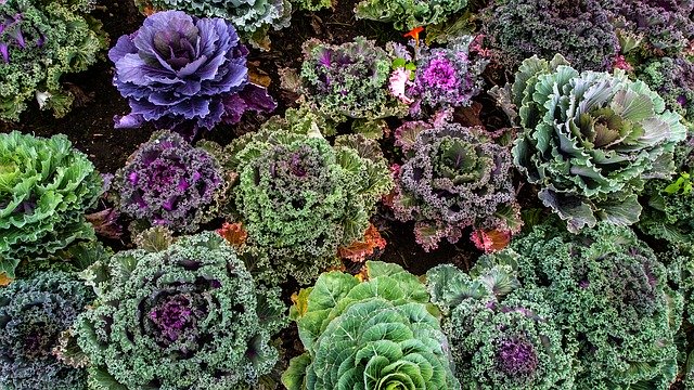 La Paz Farmers Market