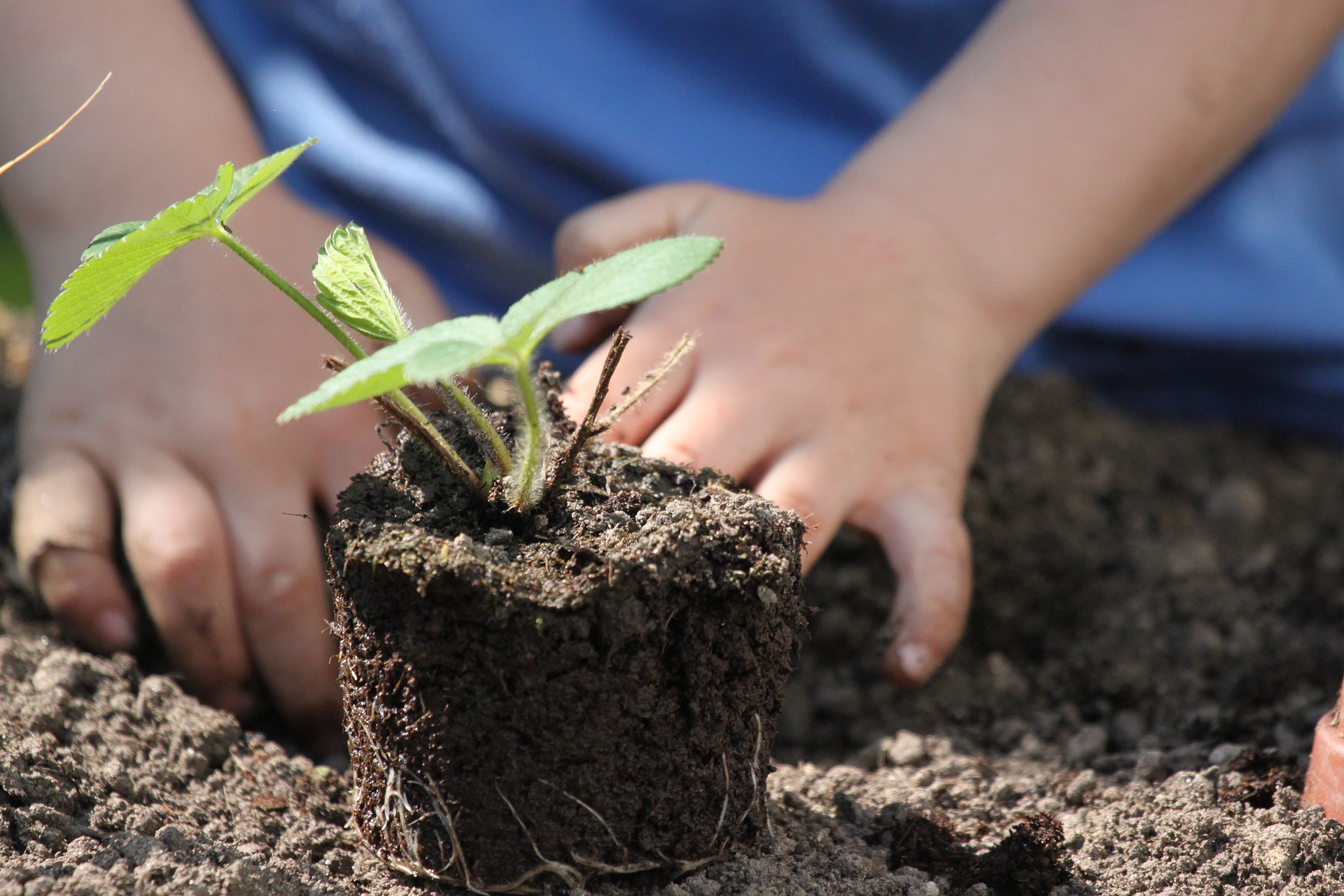 Permaculture with Jesse Blenn