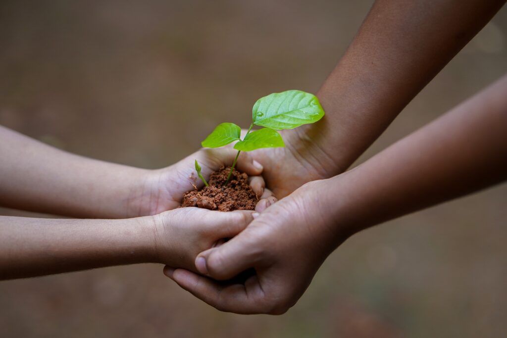 Agro-Ecological School for Small Producers