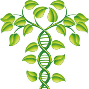 Group logo of Sustainable Land Development